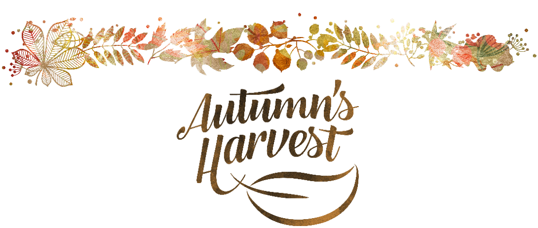 Autumn's Harvest Soap
